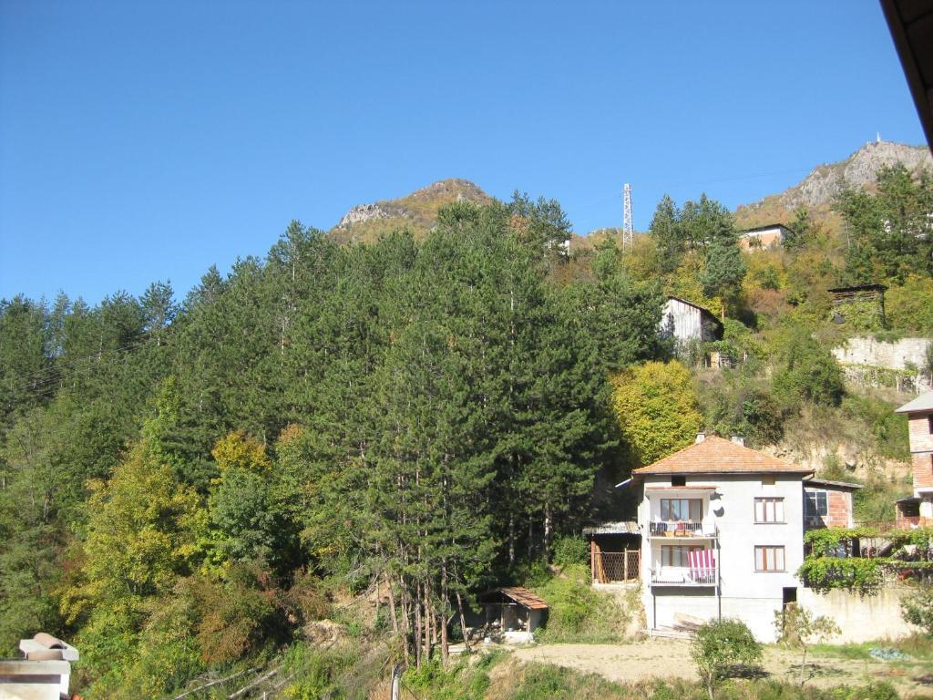 Family Hotel Veronika Devin Exterior photo